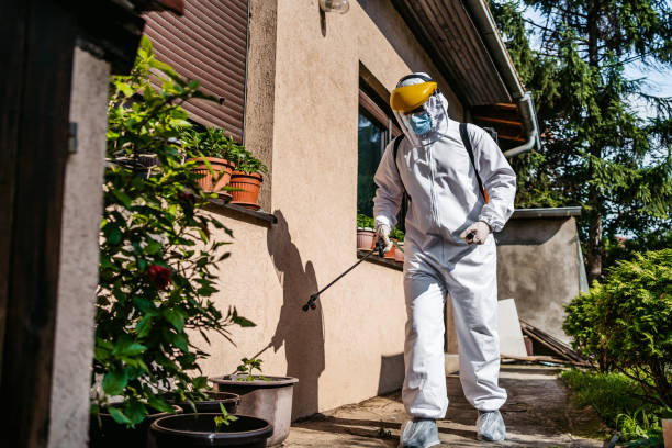 Reliable Man, WV Pest Control Solutions