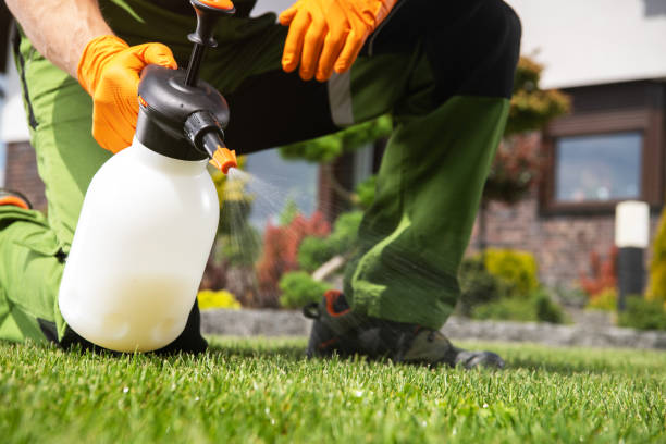 Reliable Man, WV Pest Control Solutions