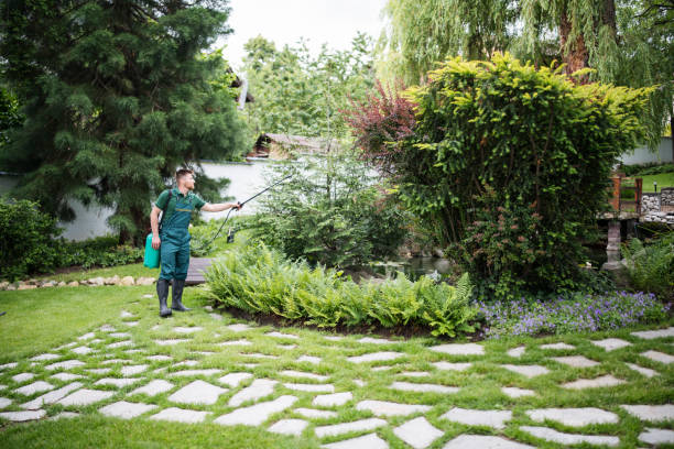 Best Pest Inspection Near Me  in Man, WV