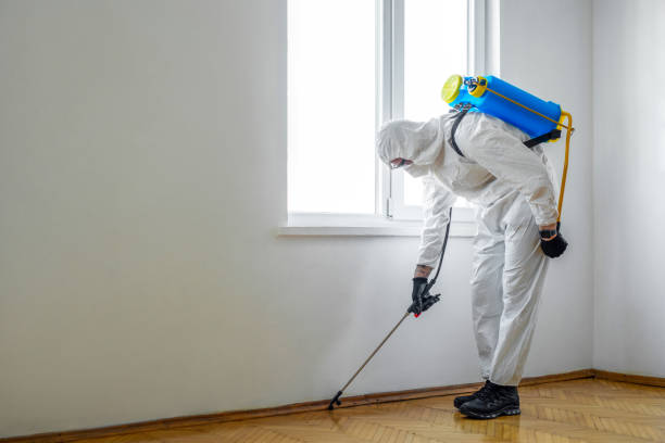 Best Pest Control for Homes  in Man, WV