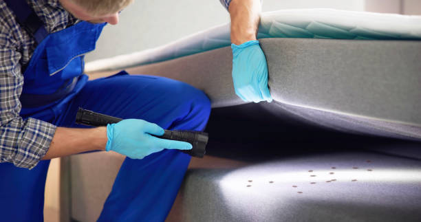 Best Affordable Pest Control Services  in Man, WV