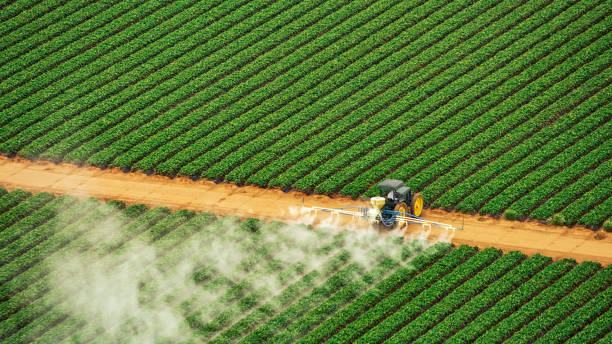 Best Mosquito Control Services  in Man, WV