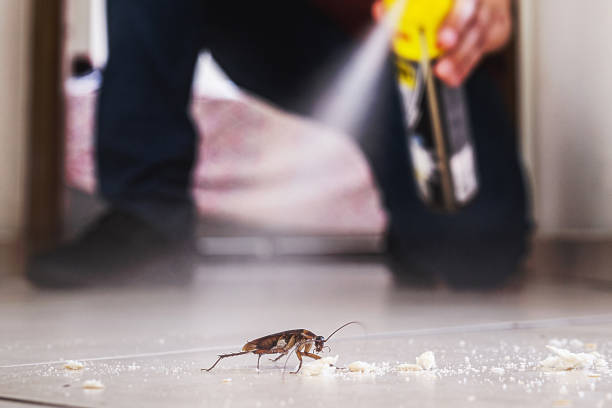Best Exterminator Services  in Man, WV