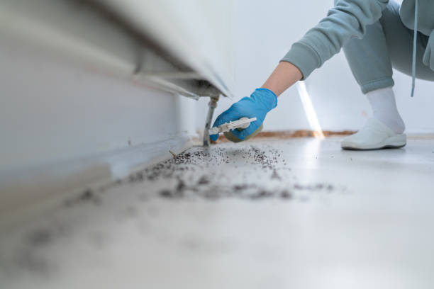 Best Best Pest Control Companies  in Man, WV
